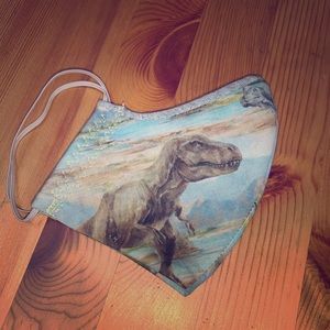 Handmade Face Masks - Dinosaurs Adult or Kids